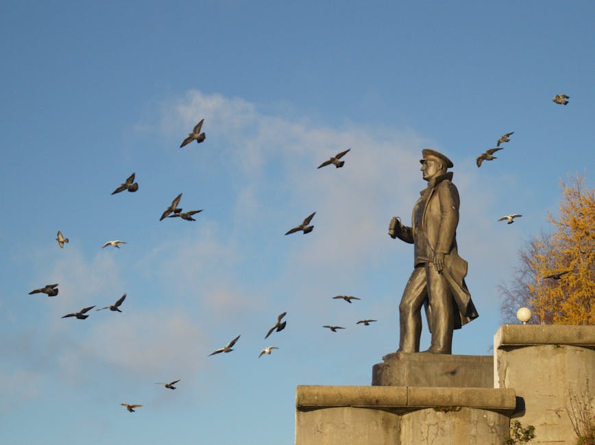 Fotos de stock gratuitas de al aire libre, almirante kuznetsov, arquitectura