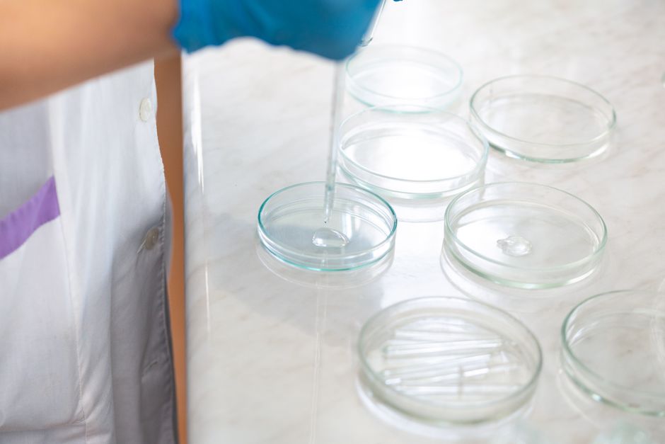 Primer plano de un científico de laboratorio utilizando un cuentagotas para transferir líquido a platos de Petri.