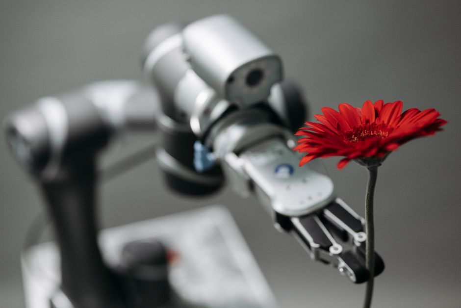 Un brazo robótico sostiene delicadamente una vibrante flor roja, simbolizando la armonía de la tecnología con la naturaleza.