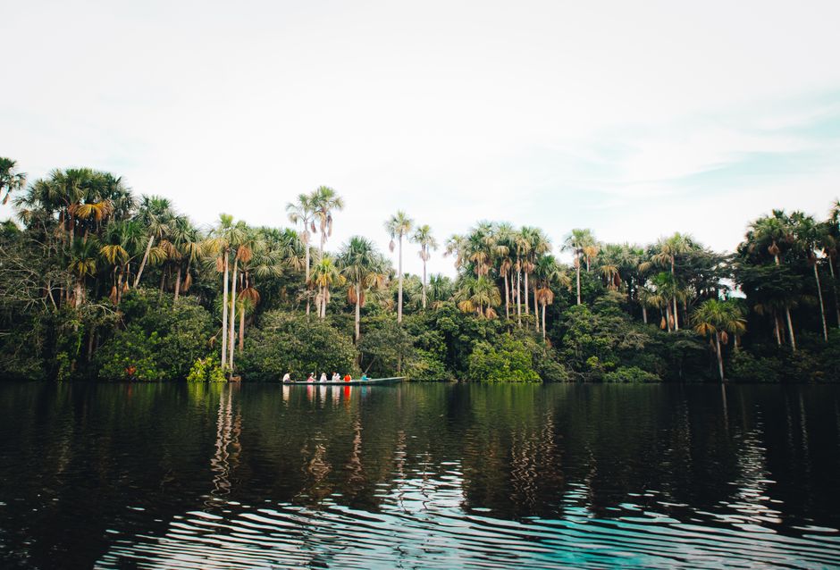 Un tranquilo paseo en barco por un río de la selva tropical, rodeado de exuberante vegetación y altas palmeras.
