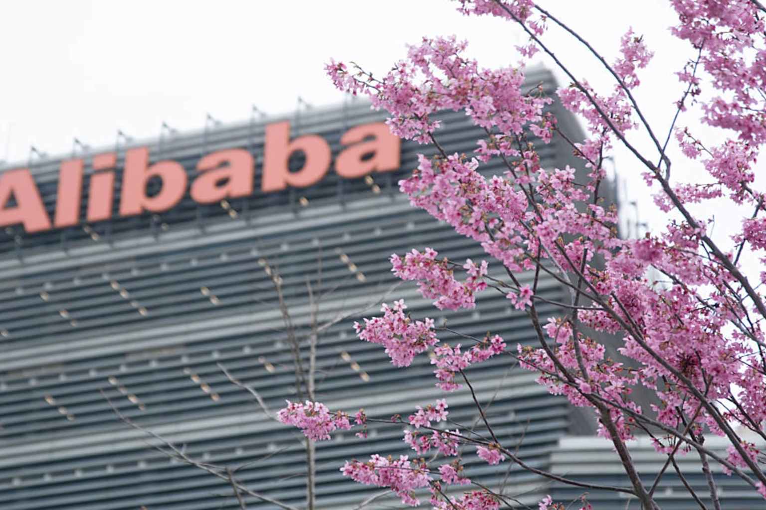 Alibaba lanza Qwen3.6-Max y su plataforma Wukong