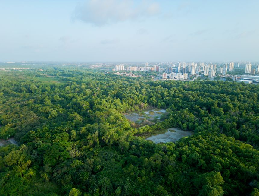 Impresionante vista aérea de un bosque exuberante con el horizonte urbano de Fortaleza, Brasil.