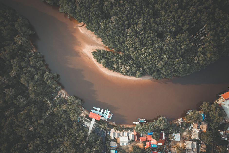 Descubre la tranquilidad de una curva de río serpenteante rodeada de un frondoso bosque desde arriba.
