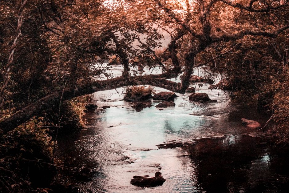 Un río otoñal pacífico fluyendo a través de un bosque con árboles y rocas, creando una escena tranquila.