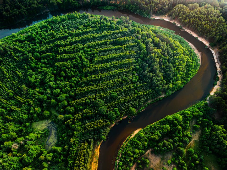 Fotos de stock gratuitas de aéreo, al aire libre, aventura