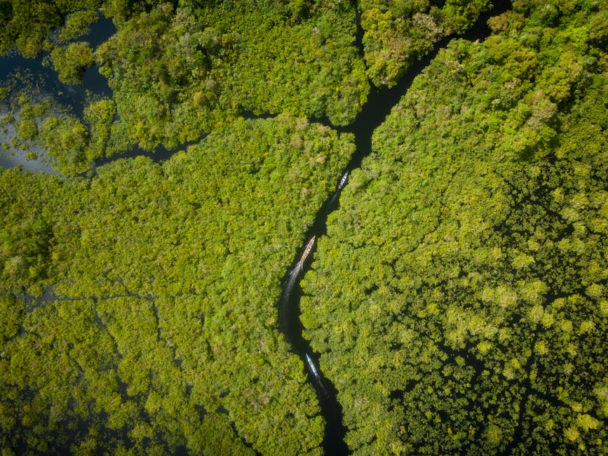 Fotos de stock gratuitas de 2024, aéreo, Asia