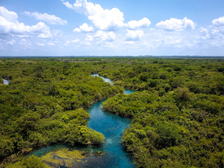Serena vista aérea de un río sinuoso rodeado de exuberante vegetación bajo un cielo azul brillante en Guatemala.