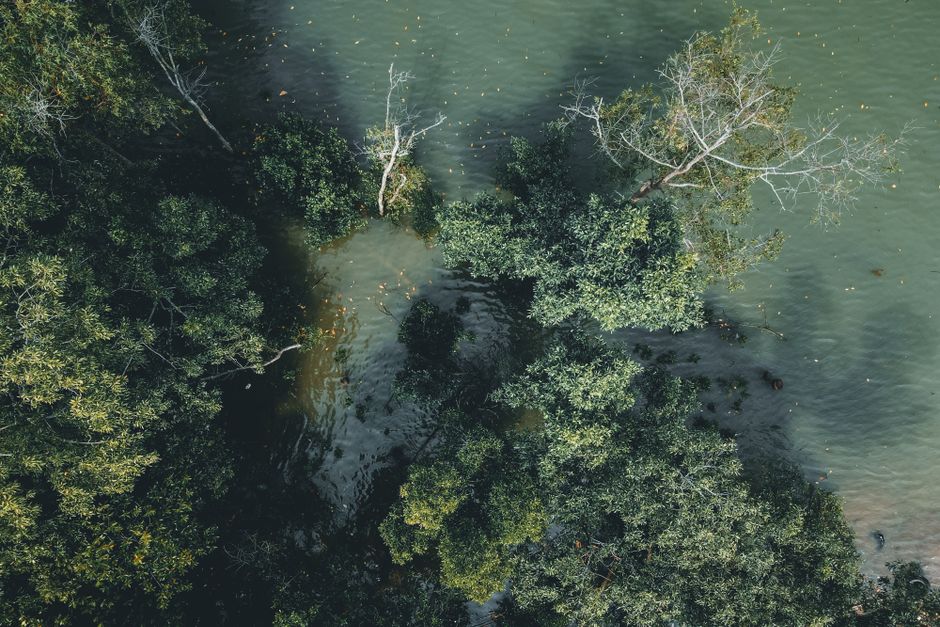 Fotos de stock gratuitas de aéreo, agua, agua ondulada