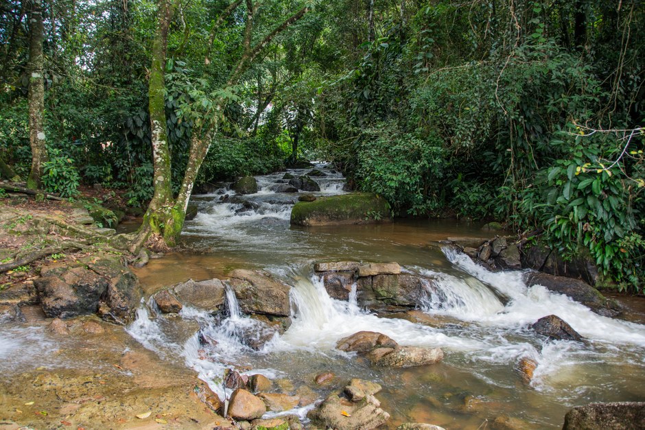 Cascada tranquila cayendo sobre rocas en la densa selva tropical de Bonito, Brasil.
