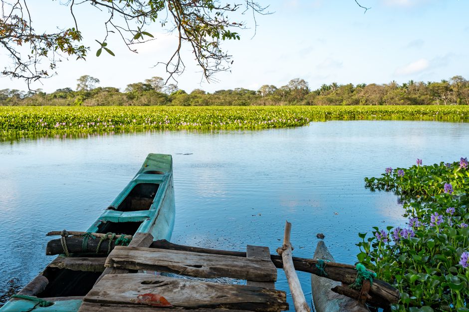 Tranquila vista al río en Vavuniya con una embarcación tradicional y exuberante vegetación.