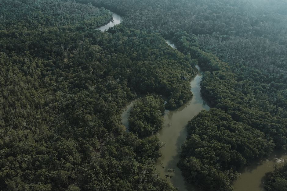 Una impresionante toma aérea capturando un río que serpentea a través de un denso bosque, mostrando la belleza natural.