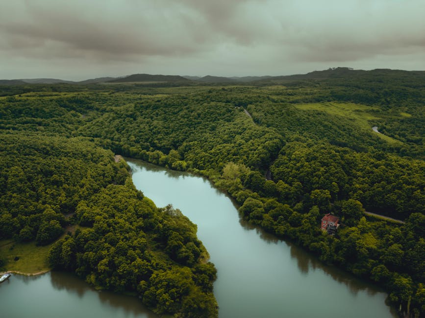 Fotos de stock gratuitas de agua dulce, aguas calmadas, al aire libre