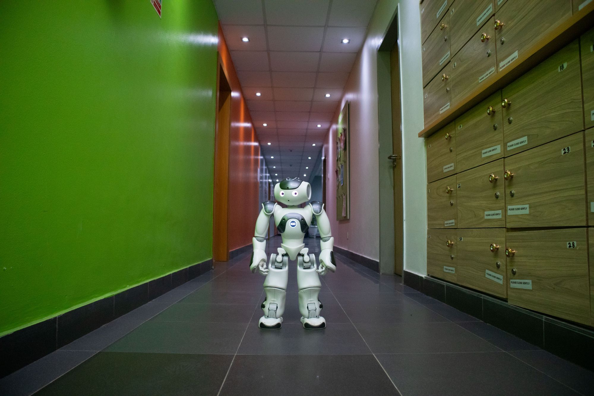 AMD desafía a Nvidia: sus chips darán vida a robots humanoides