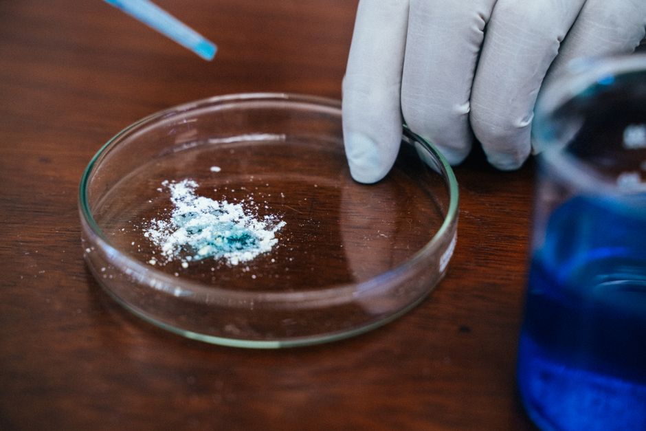 Una vista en primer plano de la mano de un científico llevando a cabo un experimento en un entorno de laboratorio con una placa de Petri.