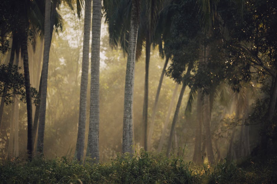 Fotos de stock gratuitas de al aire libre, amante de la naturaleza, ambiente relajante