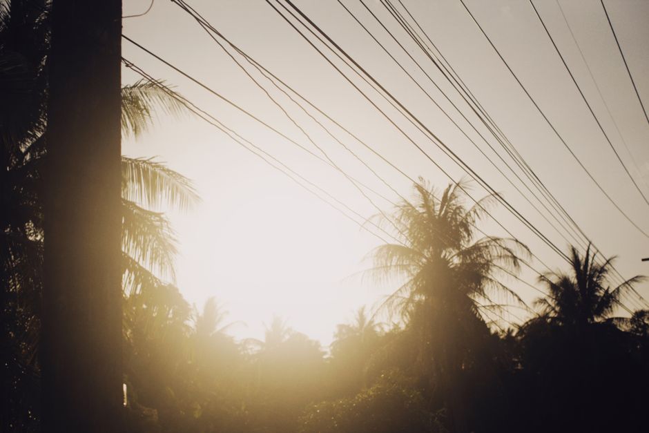 Vista dramática de un atardecer con palmeras silueteadas contra el sol y líneas eléctricas creando una escena exótica.