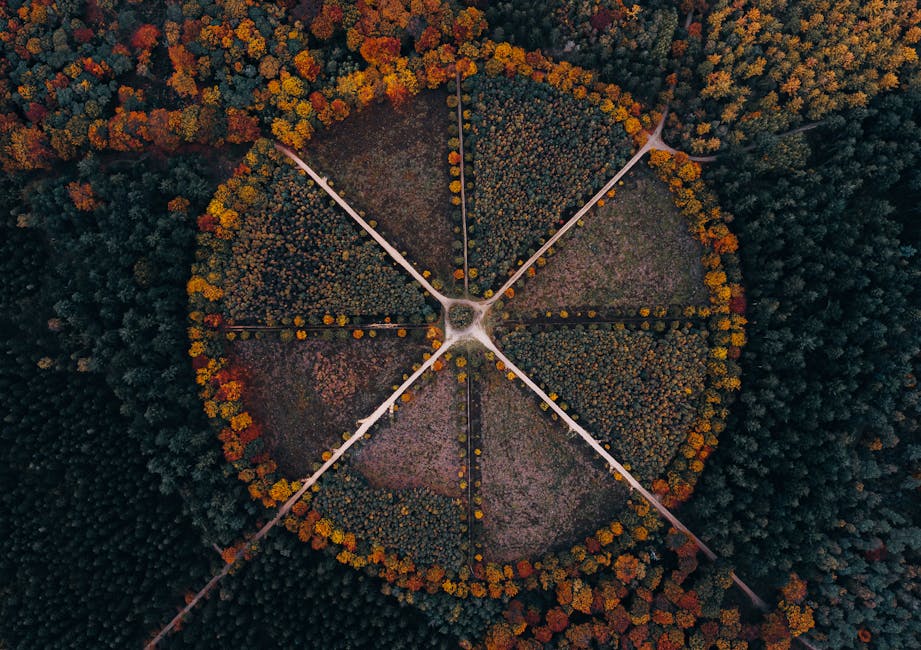 Parque De Disparos De Drones