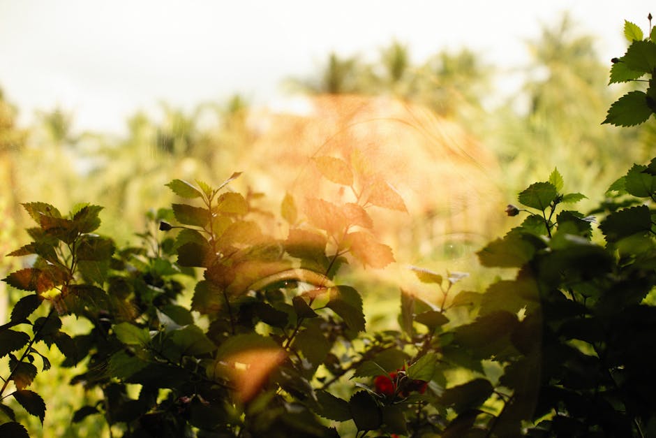Fotos de stock gratuitas de al aire libre, bokeh, bosque