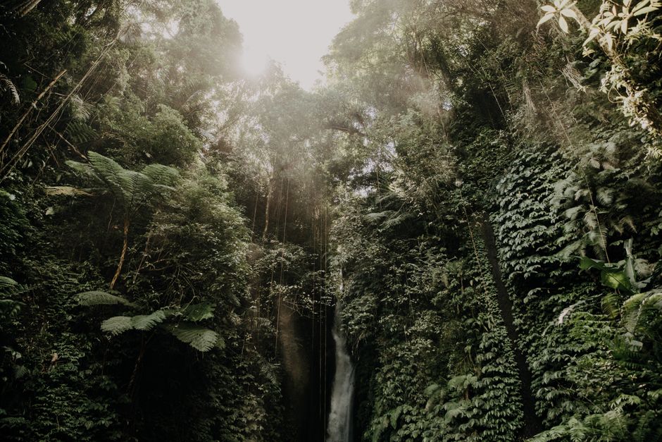 Descubre la serena belleza de una cascada en la selva de Bali, rodeada de exuberante vegetación.
