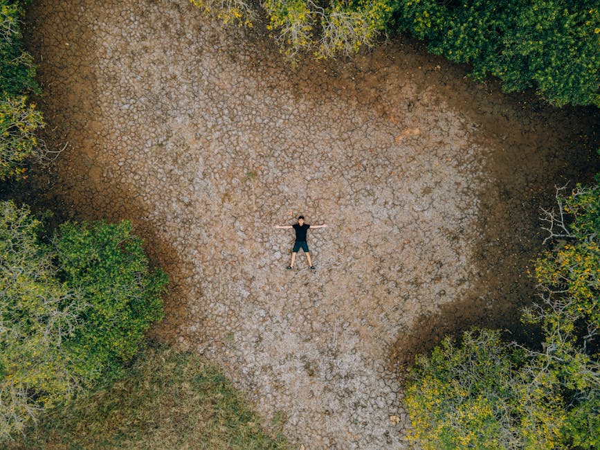 Toma aérea de una persona tendida sobre tierra agrietada rodeada de árboles verdes.