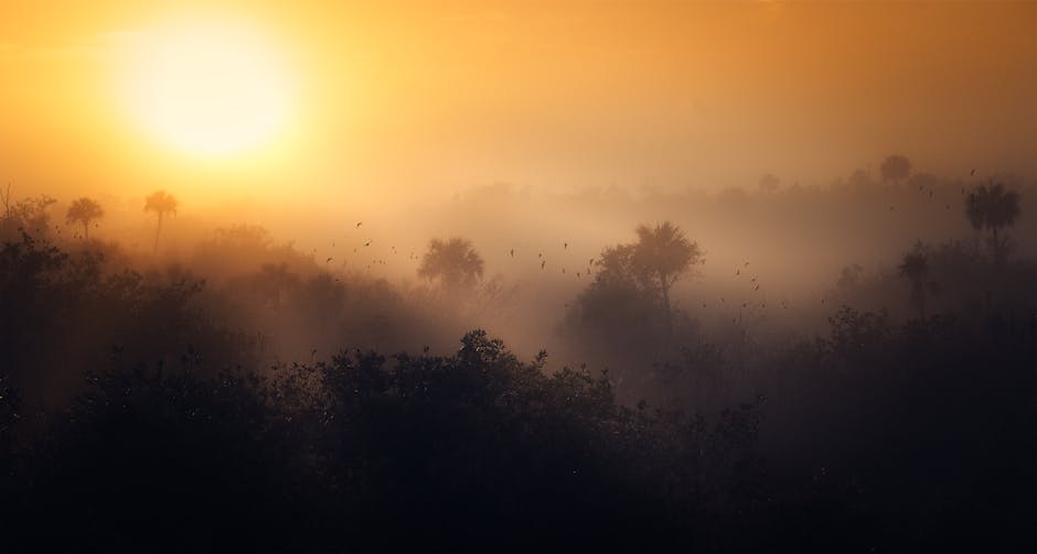 Fotos de stock gratuitas de al aire libre, amable, amanecer