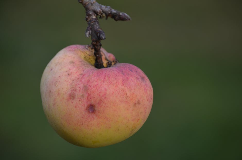 Una manzana madura colgando de una rama con un fondo verde difuminado, que muestra frescura natural.