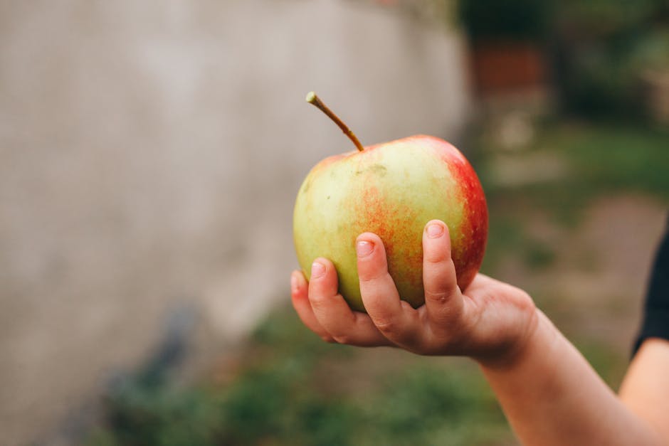 Fotos de stock gratuitas de aislado, al aire libre, alimentación saludable