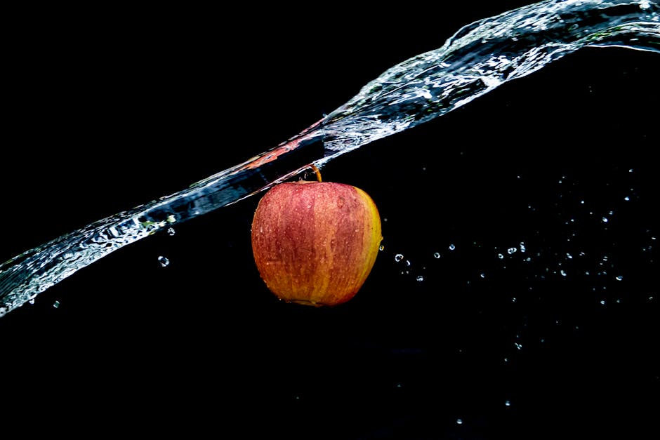 Fotos de stock gratuitas de acuático, agua, aislado