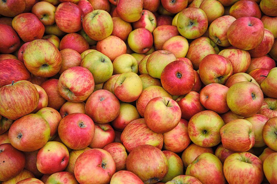 Una imagen vibrante de manzanas rojas apiladas, mostrando frescura y abundancia.
