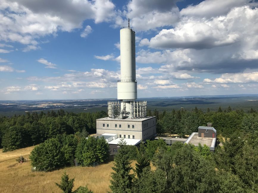Un alto edificio industrial rodeado de un denso bosque verde bajo un cielo azul claro.
