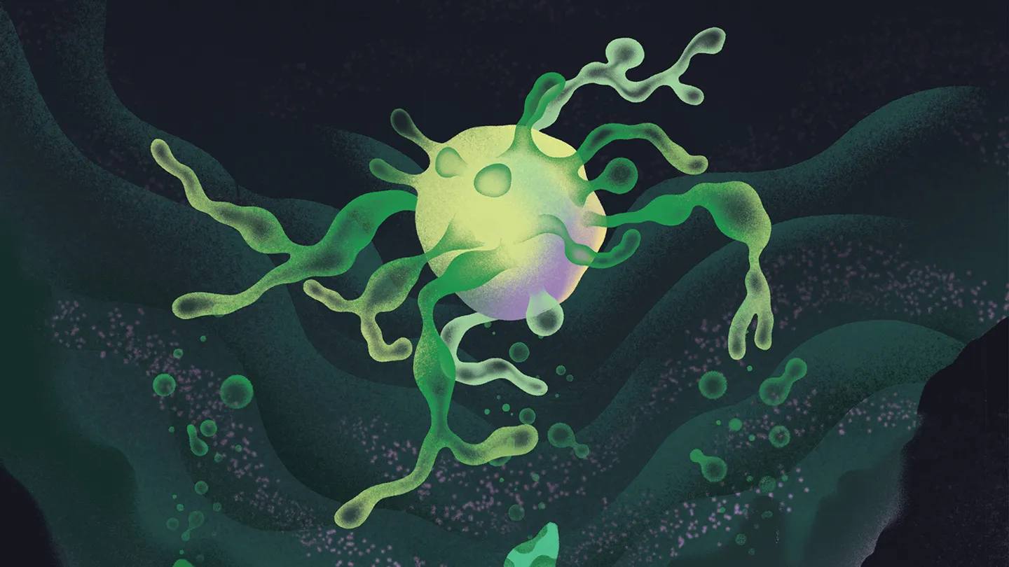 Así es la unión arquea-bacteria que originó la vida compleja