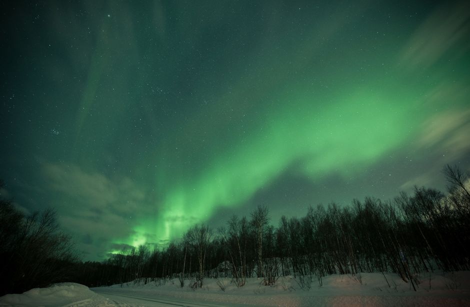 Impresionante aurora boreal iluminando el cielo nocturno sobre un paisaje forestal nevado.