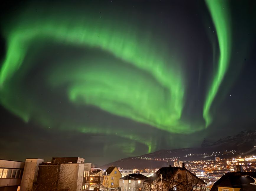 Las majestuosas auroras boreales de color verde iluminan el horizonte de Narvik por la noche.