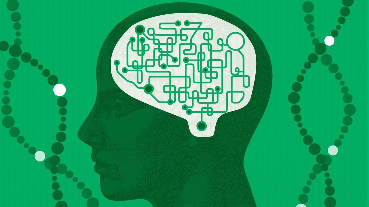 Autismo: genes de riesgo son idénticos entre poblaciones