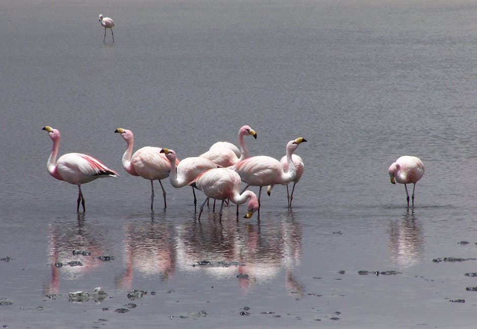 Fotos de stock gratuitas de agua, aguas tranquilas, al aire libre