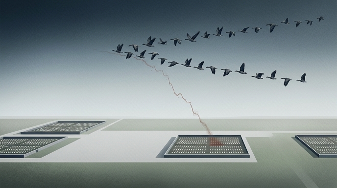 Ilustración editorial que muestra aves migratorias volando sobre granjas avícolas, con una línea roja que indica infección.