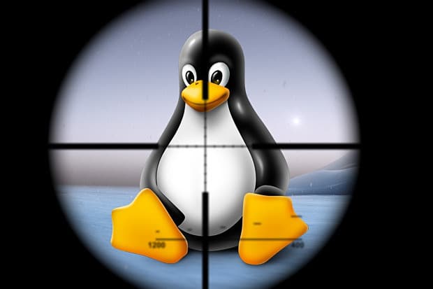 Bug en Linux da acceso root en 732 bytes