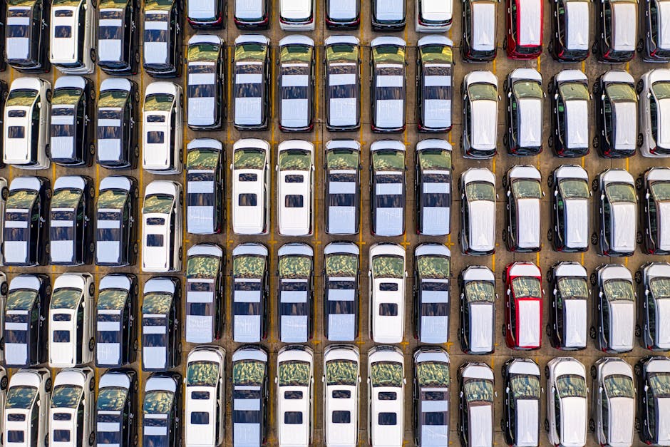 Fotos de stock gratuitas de al aire libre, alineado, aparcamiento