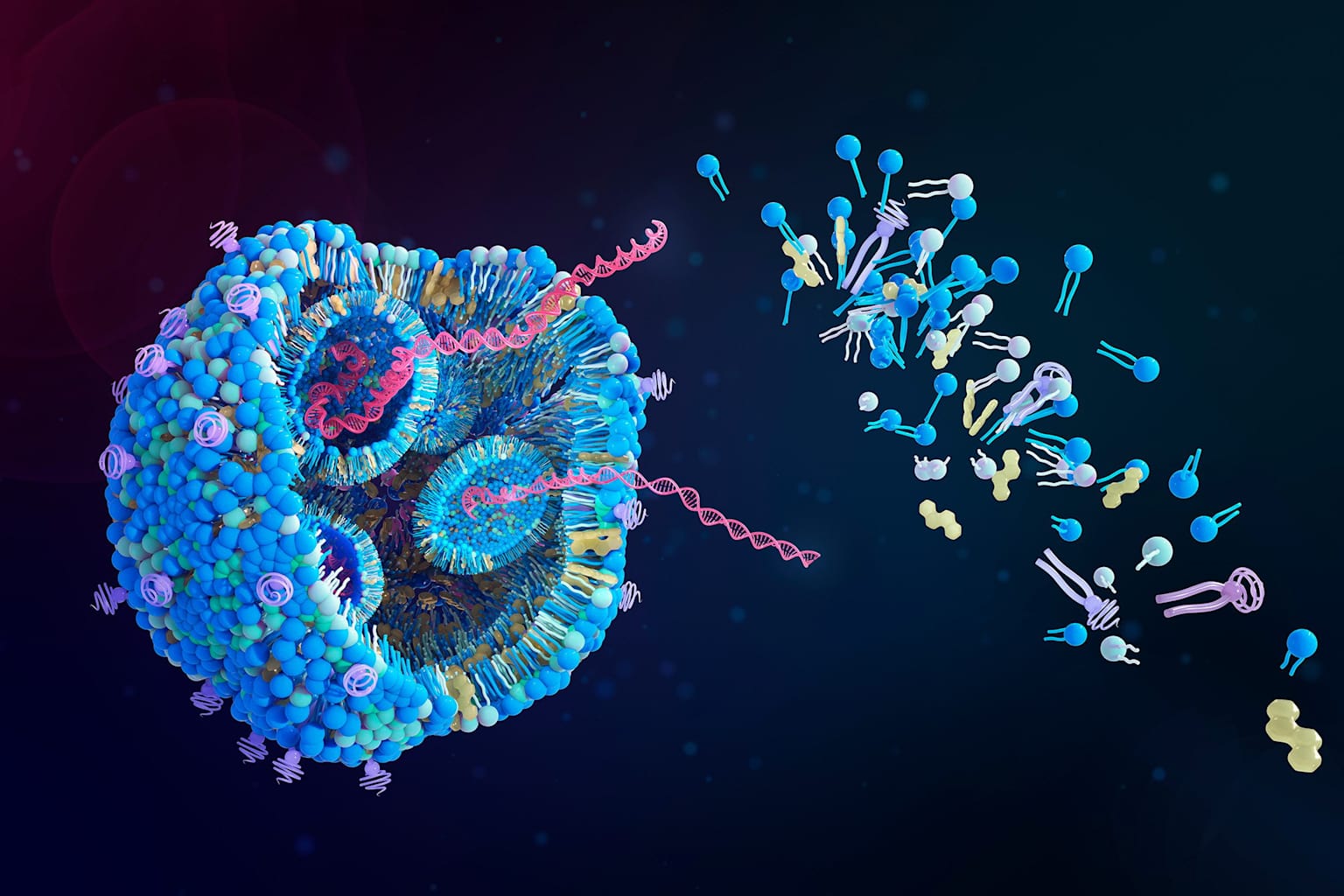 Cóctel de aminoácidos eleva al 90% la eficiencia de CRISPR