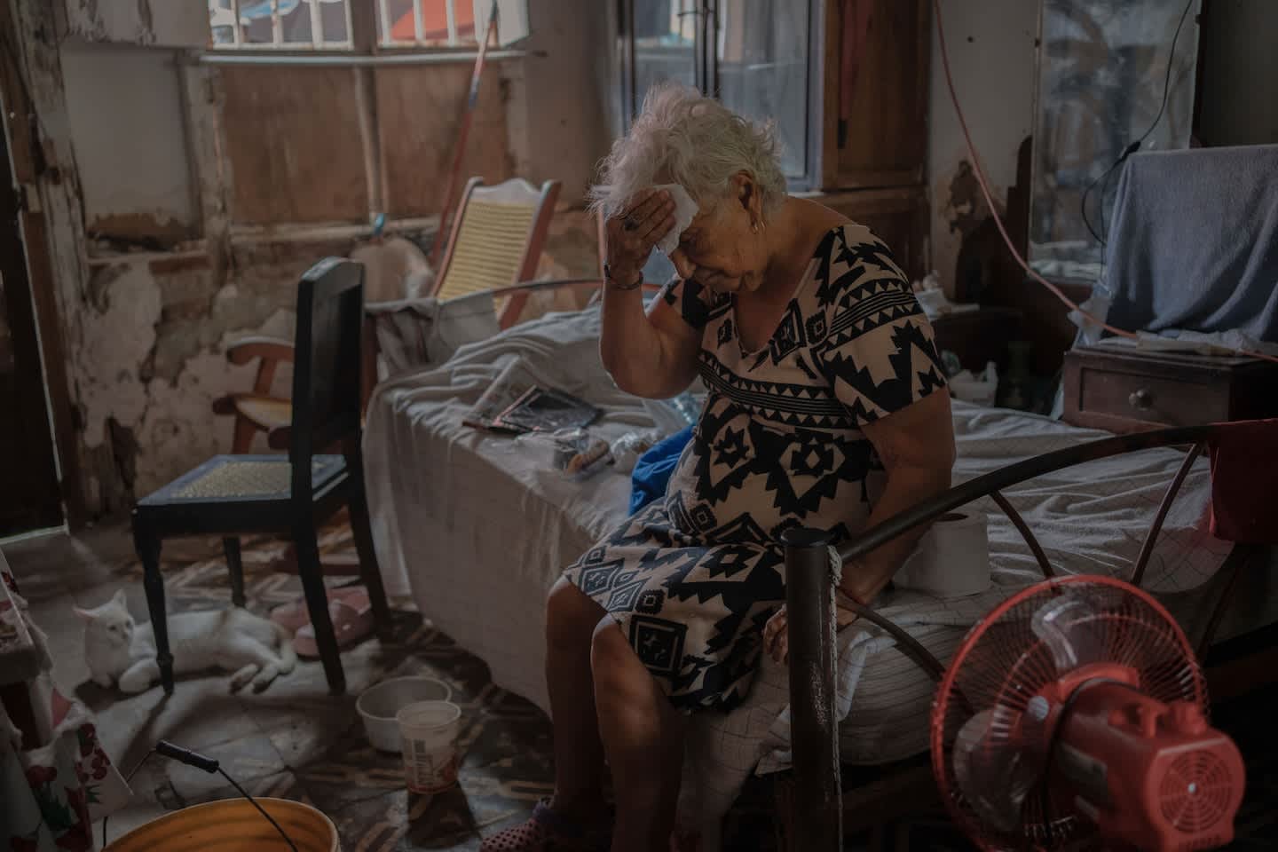 Calor extremo causará 700,000 muertes anuales en 2050