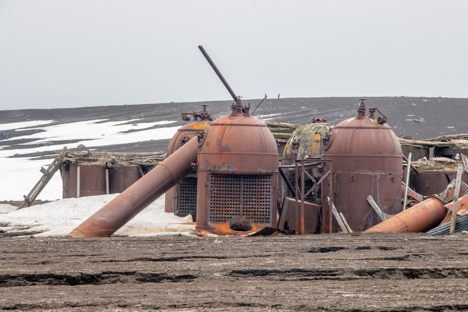 Explora los restos oxidados de una histórica estación ballenera antártica en medio de un terreno cubierto de nieve.