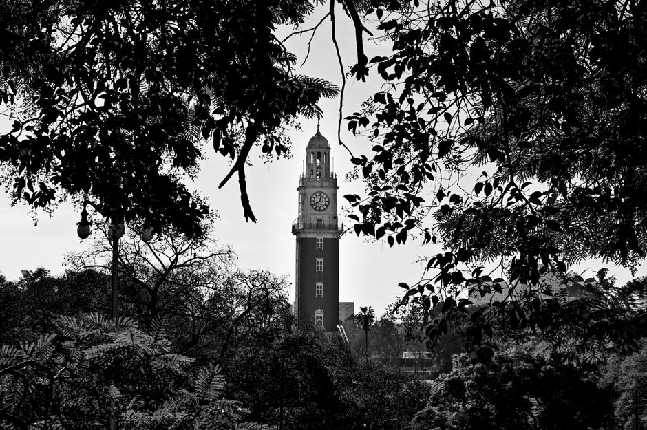 Fotografía en blanco y negro de una torre de reloj enmarcada por árboles, creando una vista urbana clásica.