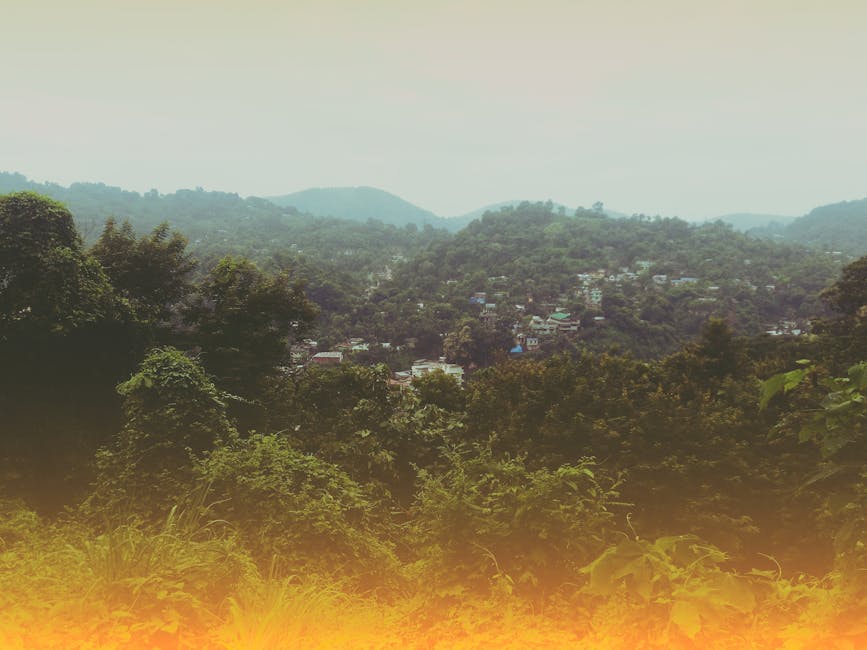 Colina Revestida De Verde Con Casas