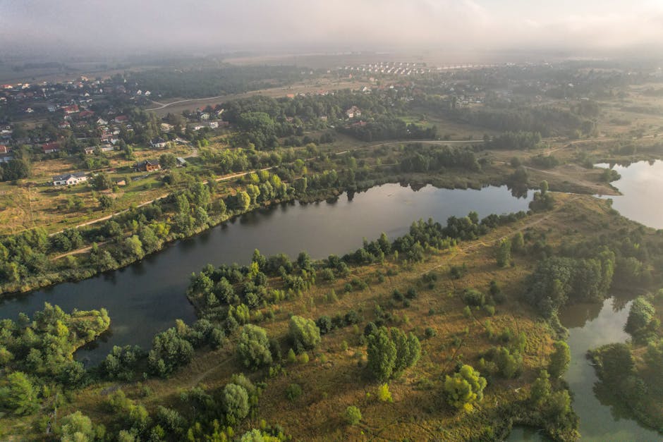 Fotos de stock gratuitas de afueras, agua, arboles