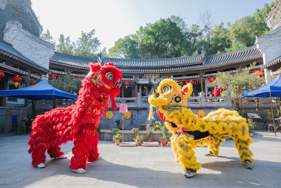 Fotos de stock gratuitas de actuación, actuación cultural, al aire libre
