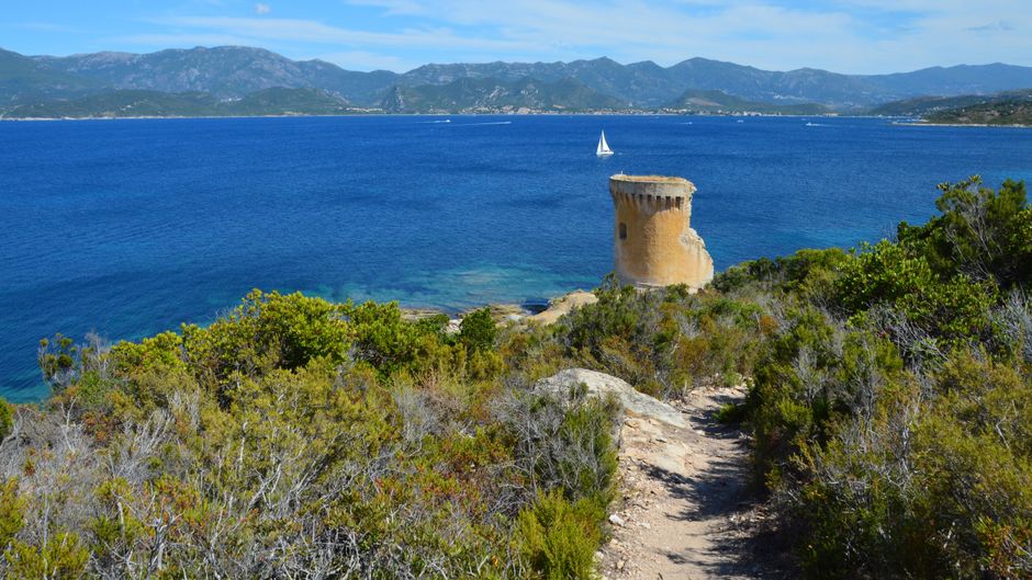 Hermosa vista de la torre genovesa con vista a las claras aguas azules de Córcega, con un velero a lo lejos.