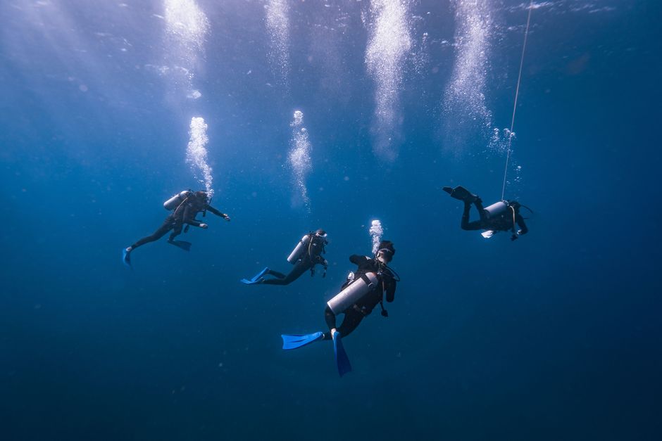 Grupo de buzos submarinos en Isla Mujeres, México, explorando las profundidades del océano.