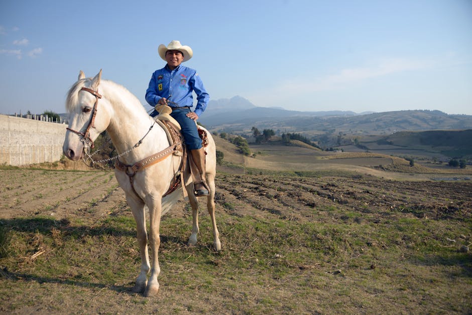 Fotos de stock gratuitas de agricultura, al aire libre, América del Norte