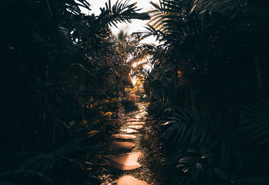 Foto De La Pasarela