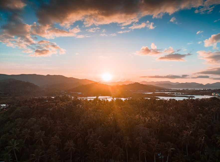 Fotos de stock gratuitas de amanecer, anochecer, arboles
